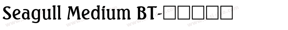 Seagull Medium BT字体转换